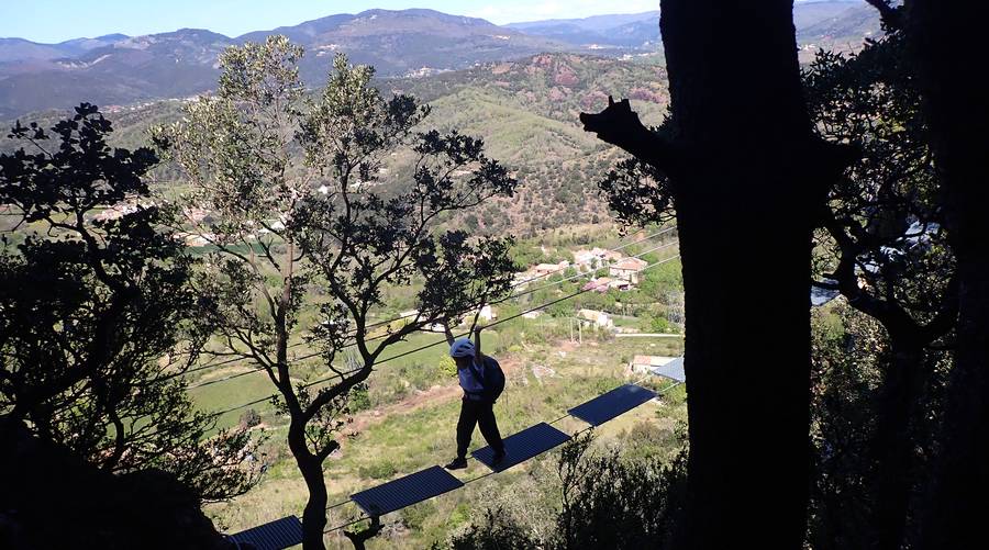 Panorama sur le Haut Languedoc
