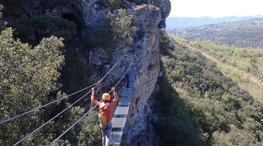Le pont de singe, moment émotion
