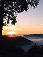 Etika Mondo, stage nature et ecolieu