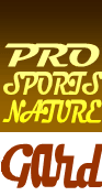 logo PSN30