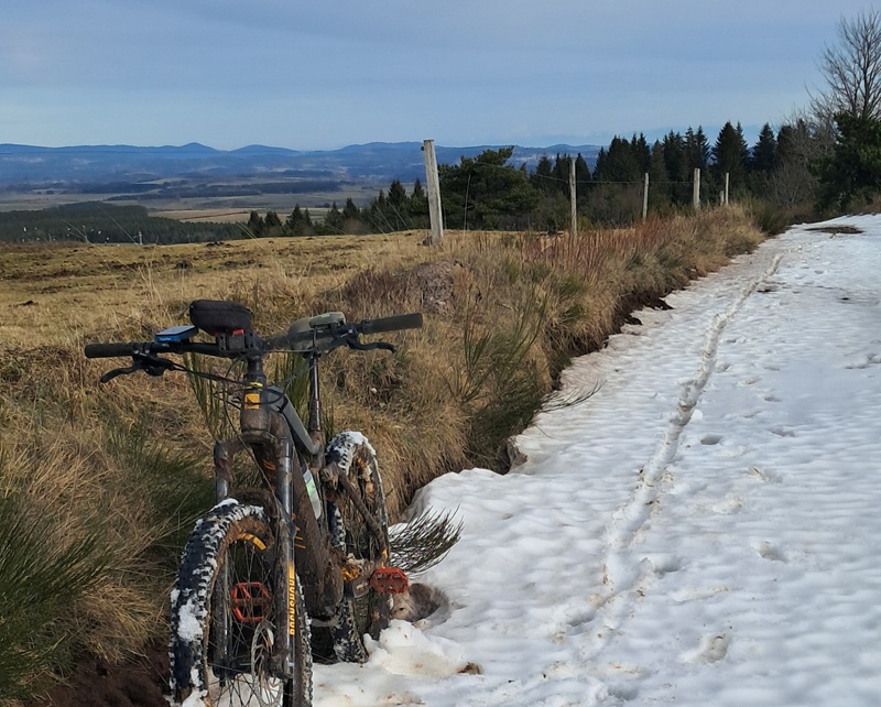 Dans la montée du Mézenc, un reste de neige en Ubac. Au fond, les Alpes émergent des sapins. 