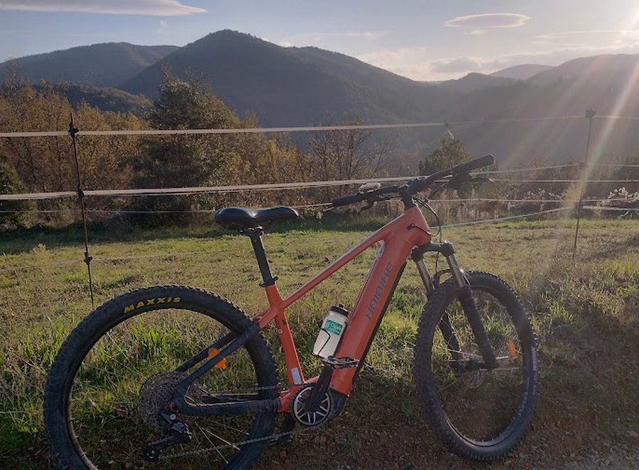 Il rrste quelques VTT électriques à vendre